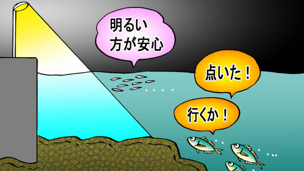 そもそもなぜ夜釣りなのか？